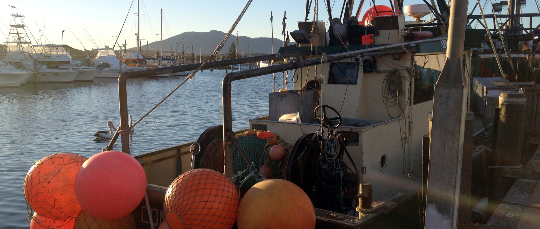 Bermagui Harbour, Bermagui, NSW