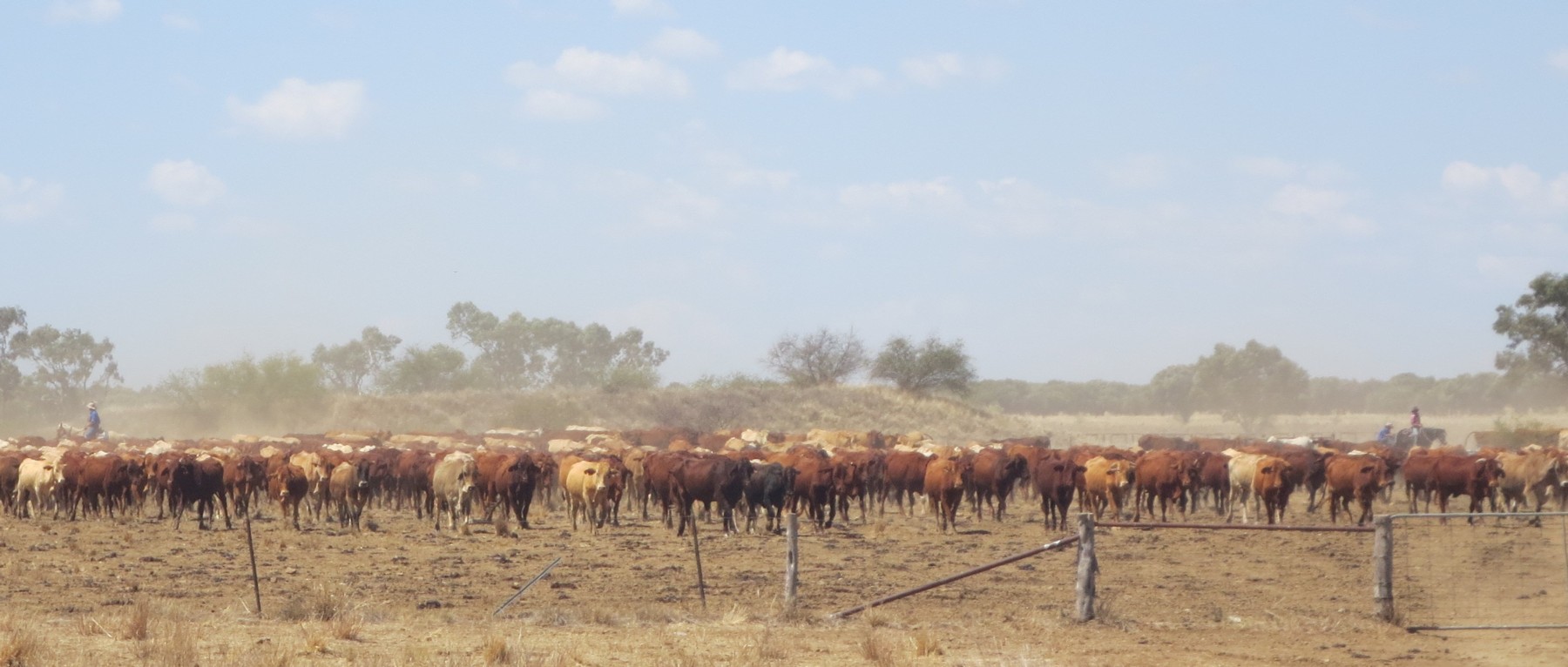Isisford, Qld