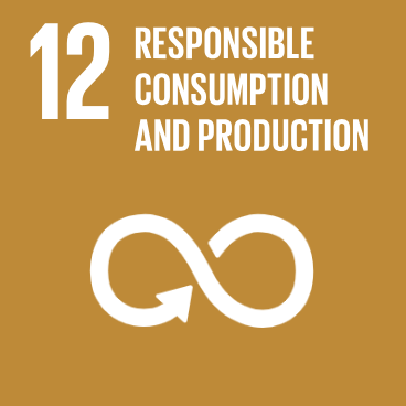 UN SDG 12